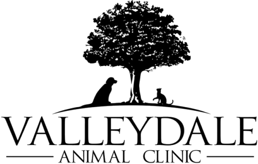 Valleydale Animal Clinic Home